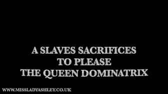 slave sacrifices his body to the Queen