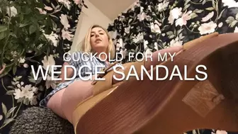 Cuckold For My Wedge Sandals