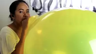 Stella Blows To Pop Your Huge 24 Inch Tuftex Balloon
