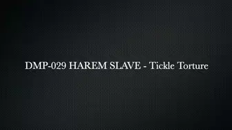 Harem Slave - Tickled HPDP-029 - HD