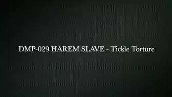 Harem Slave - Tickled pt 1 wmv HPDP-029 - HD