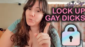 Lock Up Gay Dicks