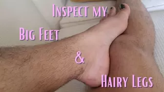 Inspect My Hairy Legs