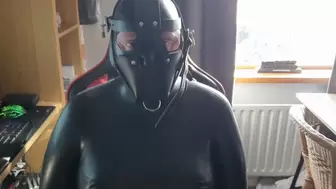 Muzzled Rubber Toy