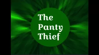 Panty Thief