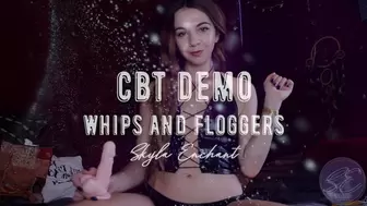 CBT Demo - Whips and Floggers