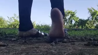 Giantess Unaware outside Sexy Wrinkled Soles & Dirty Feet Dipping in & out in Strappy Silver Flip Flops Foot Fetish Spycam avi