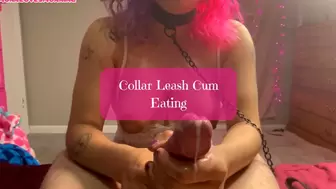 Collar Leash Cum Eating
