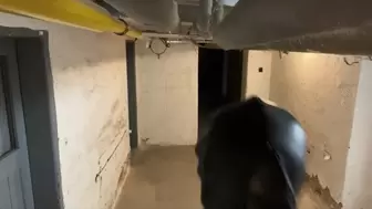 Imprisoning a slave in a cellar