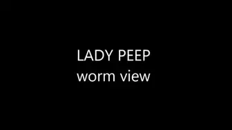 LADY PEEP worm view