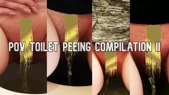 POV Peeing Toilet Compilation II [HD]