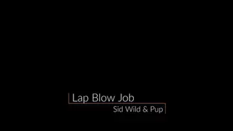 Noisy & Wet Lap Blowjob, POV, CFNM