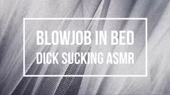 Blowjob in Bed Dick Sucking ASMR