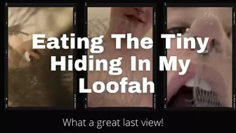 Eating the Tiny Hidden in My Loofah POV