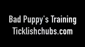 Bad Puppy's Training