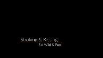 Stroking & Kissing, ASMR Wet & Noisy
