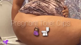 Pregnant Toilet Clips 2022 Pt 1