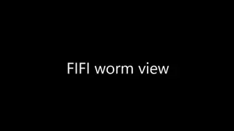 FIFI worm view