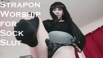 Strapon Worship for Sock Slut SD