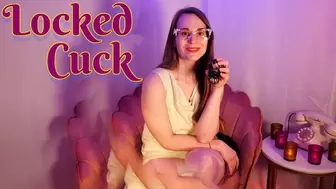 Locked Cuck (4K)