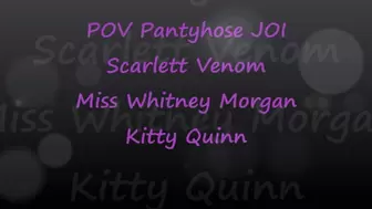POV Pantyhose JOI with Scarlett Venom Whitney Morgan Kitty Quinn