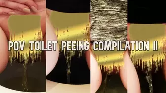 POV Peeing Toilet Compilation II [SD]