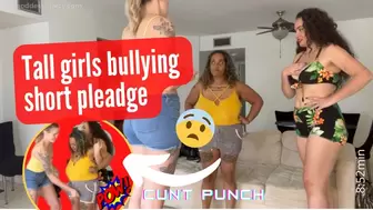 Tall girls bullying short pledge - cunt punch