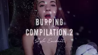 Burping Compilation 2