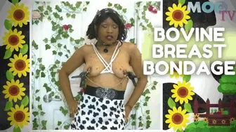 BOVINE BREAST BONDAGE - HuCow TV Host Ties Tits in 1080