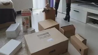 Cardboard Boxes Crush in Boots WMV
