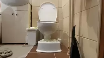 POV Sneaky Pussy view on toilet