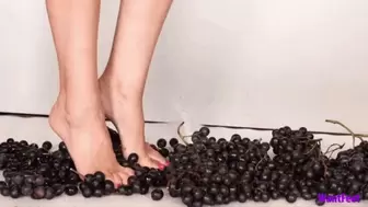 Barefoot Grape Crush 4K
