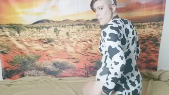 Sexy Moo Cow
