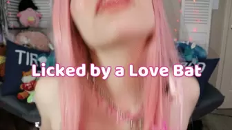 Licked By Love Bat Oral Focused JOI w Countdown