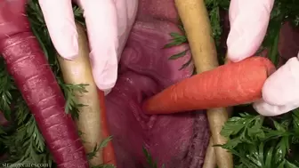carrot fucking my peehole (1080 wmv)