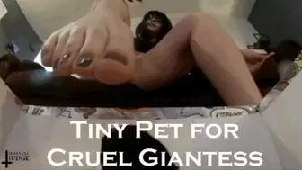 Tiny Pet for Cruel Giantess VR 360