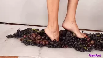 Polly Barefoot Grape Crush - 4K MP4
