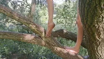 Raw Footage - Dirty Feet In A Tree