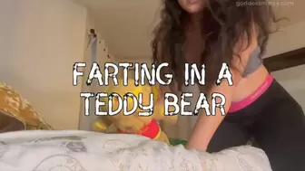 Farting Teddy Bear