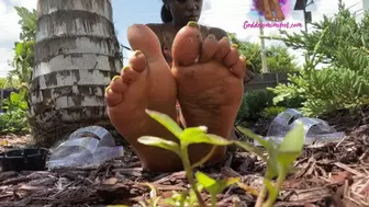 Feet Under the Sun foot tease