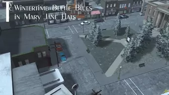Wintertime Beelte Blues in Mary Jane Flats (mp4 720p)