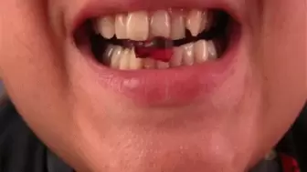 Chewing bears with sharp teeth a
