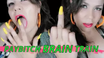 PayBitch Brain Training SV