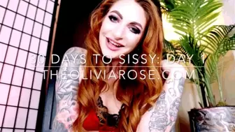 30 Days To Sissy Day 1: Panties (WMV 1080p)