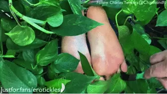 THE FORBIDDEN FRUIT - THE PLANT THAT GROWS TICKLISH FEET!