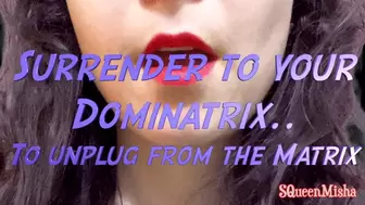 Surrender to your Dominatrix to Unplug from the Matrix