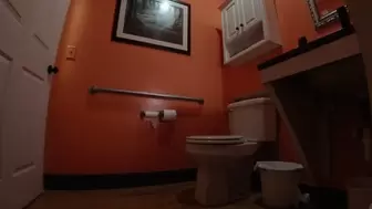 Apocalypse On The Toilet