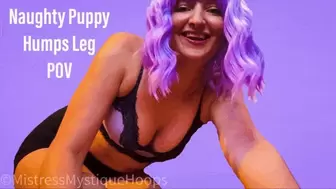 Naughty Puppy Humps Leg POV (with music) - WMV