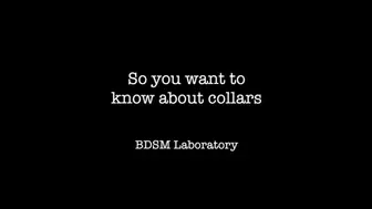 So You Want To Know about Collars