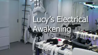 Lucy Awakes